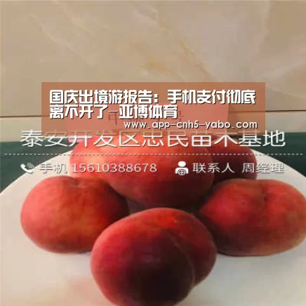 亚博官网