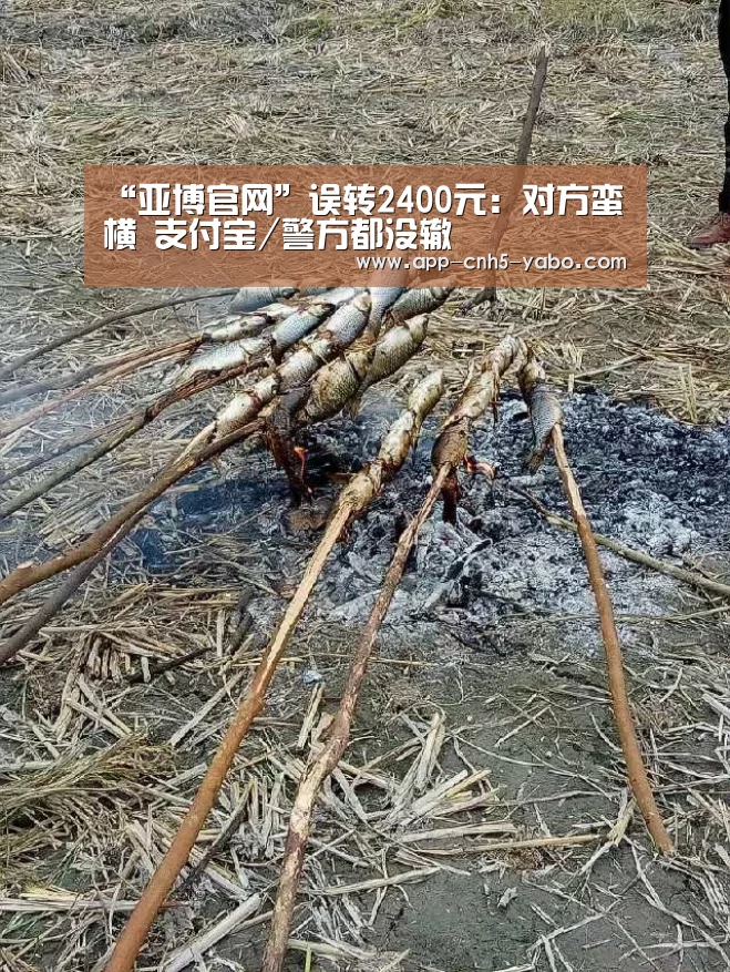 “亚博官网”误转2400元:对方蛮横 支付宝/警方都没辙(图3) 亚博体育